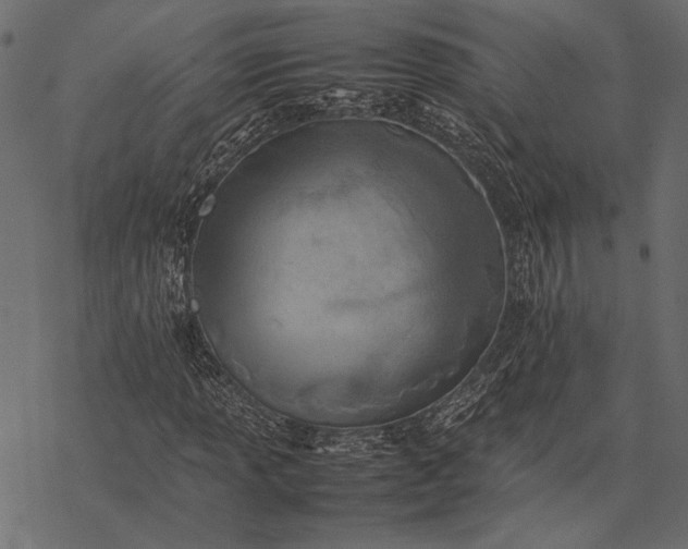 X0000077331013200611031725