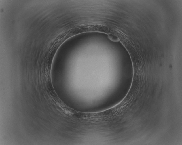 X0000077331014200611031725