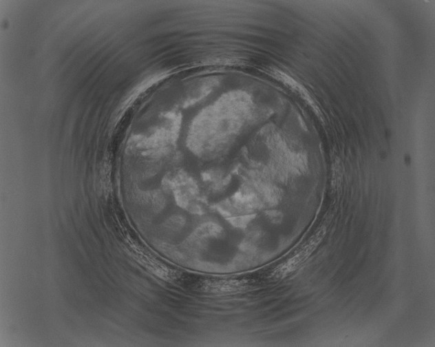 X0000077331019200611031725