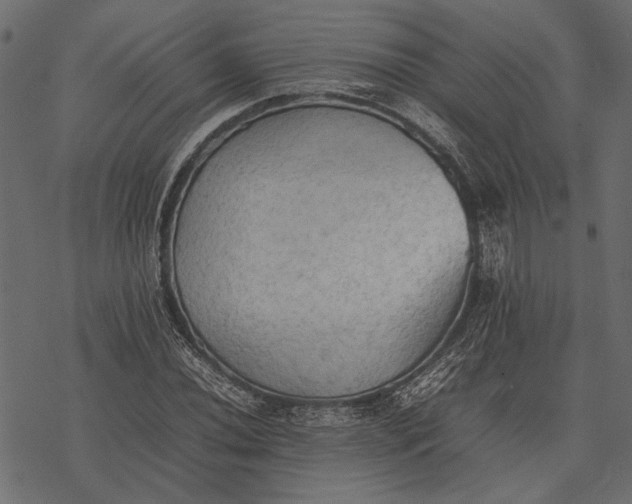 X0000077331020200611031725