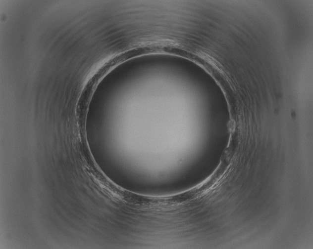 X0000077331022200611031725