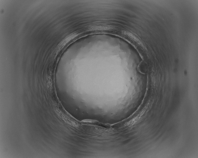 X0000077331025200611031725