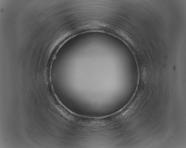 X0000077331026200611031725