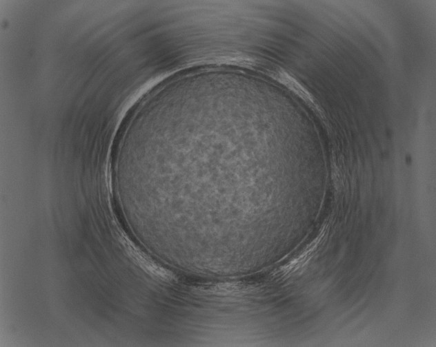 X0000077331028200611031725