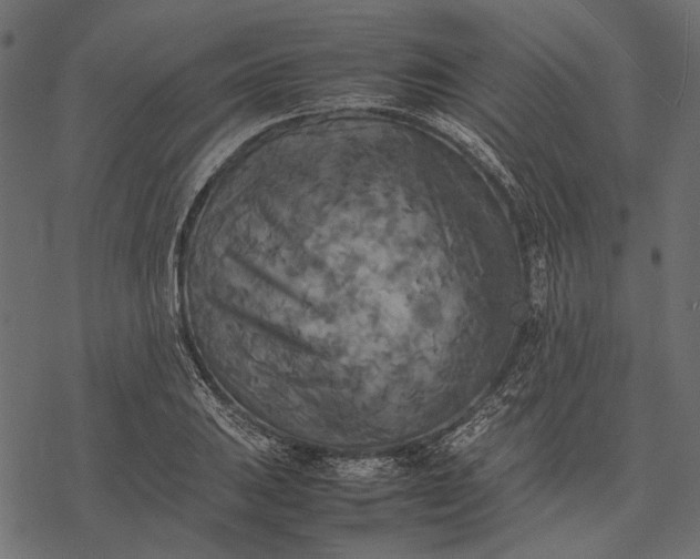 X0000077331031200611031725