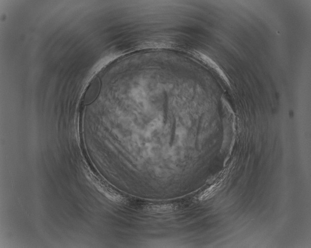 X0000077331035200611031725