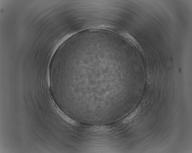 X0000077331036200611031725