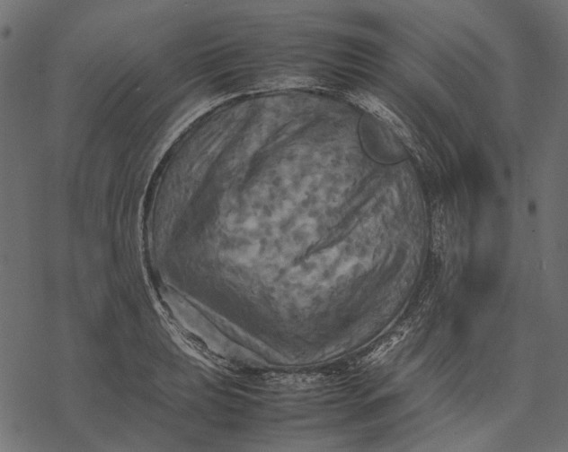 X0000077331039200611031725