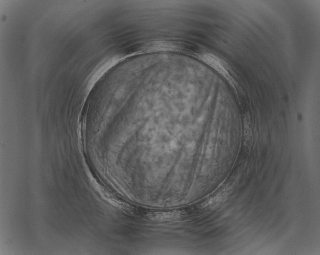 X0000077331047200611031726