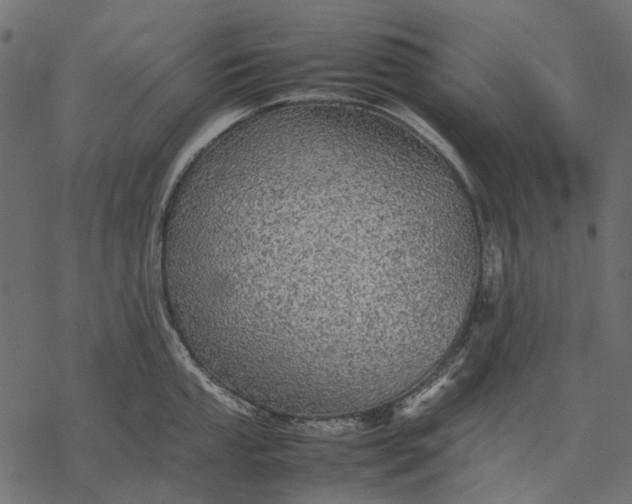 X0000077331053200611031726