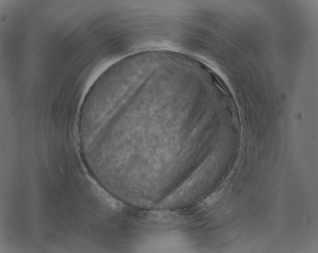 X0000077331056200611031726