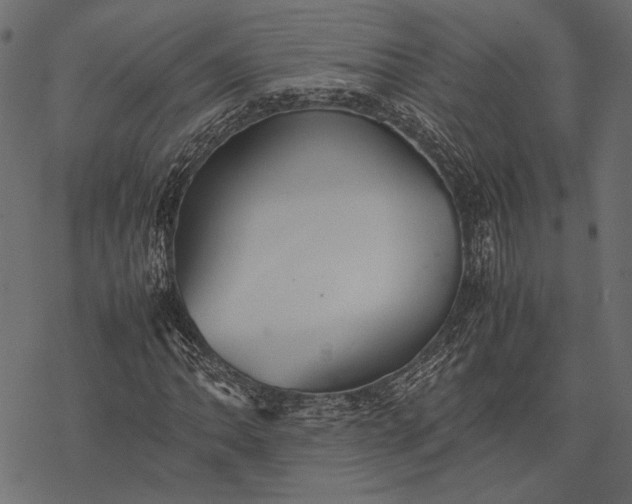 X0000077331062200611031725