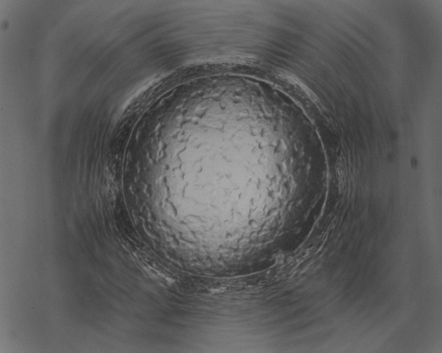 X0000077331064200611031725