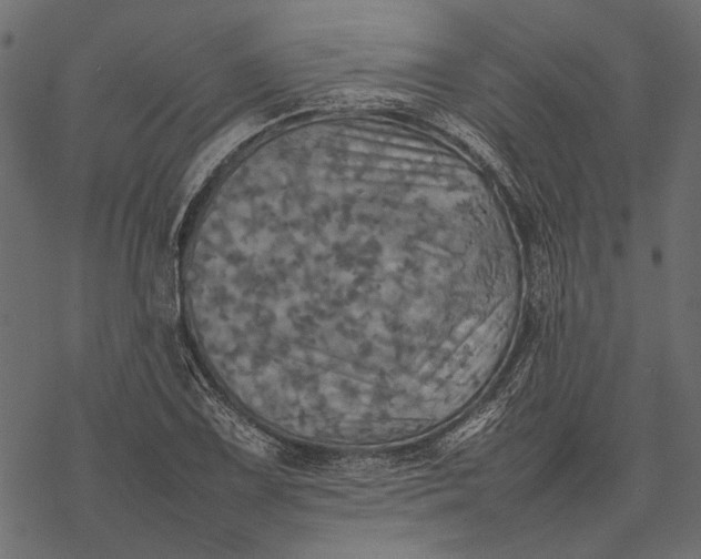 X0000077331075200611031725