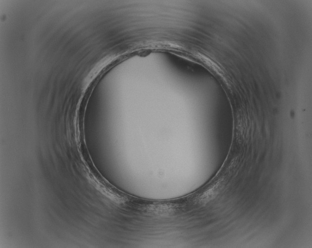 X0000077331082200611031724