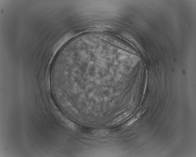 X0000077331083200611031724