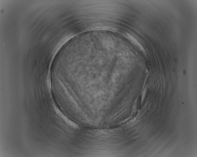 X0000077331084200611031724