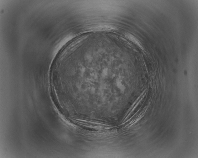 X0000077331087200611031724