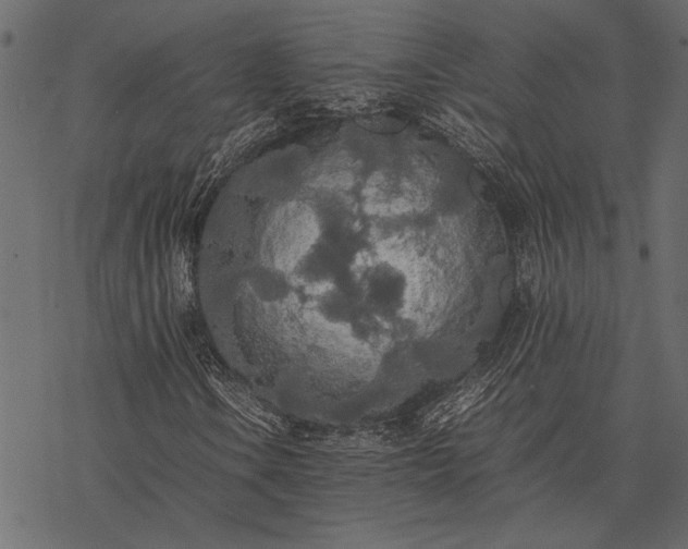 X0000077331106200611031723