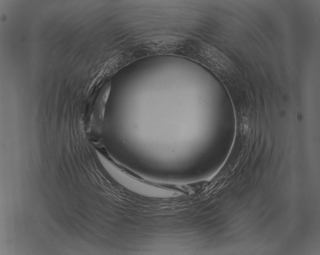 X0000077331108200611031723