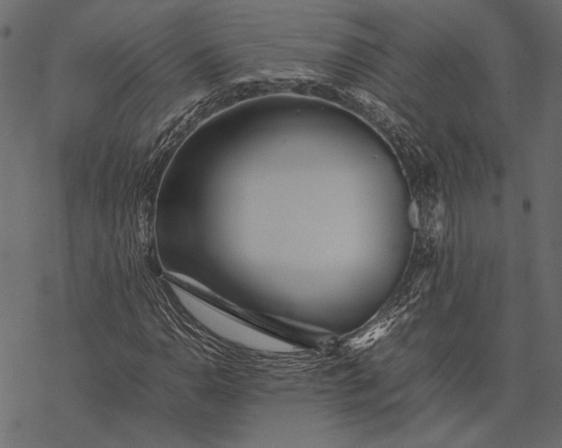 X0000077331110200611031723