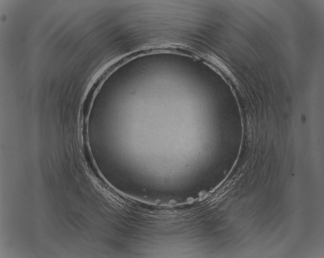 X0000077331124200611031724