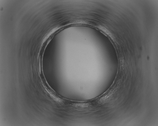 X0000077331127200611031724