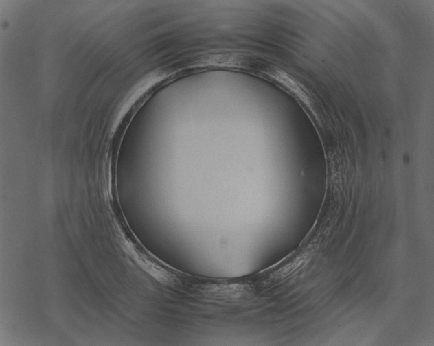 X0000077331131200611031724