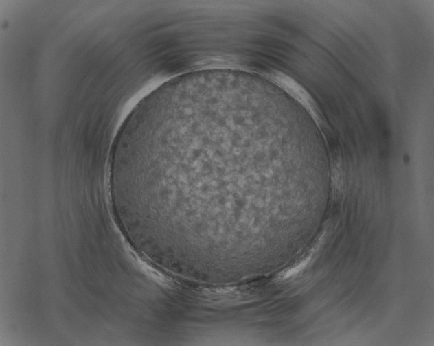 X0000077331149200611031724