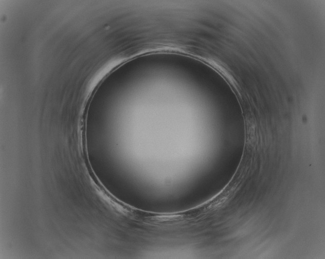 X0000077331151200611031724