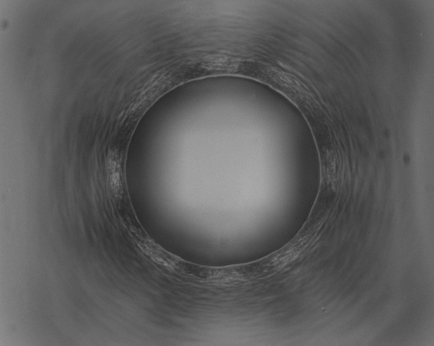 X0000077331154200611031723