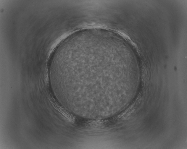 X0000077331167200611031723