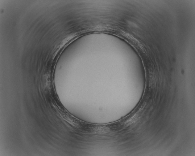 X0000077331170200611031723