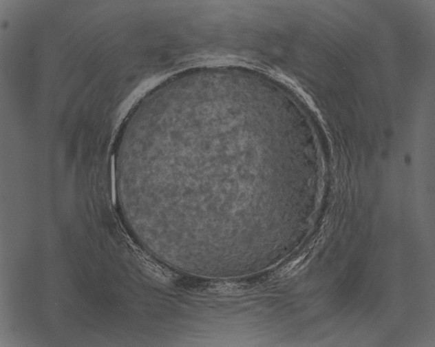 X0000077331175200611031723