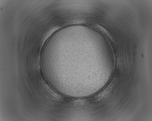 X0000077331178200611031723