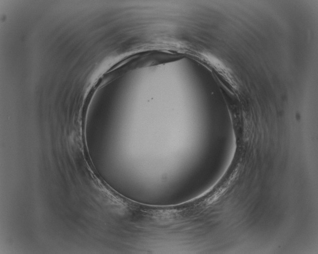 X0000077331184200611031723