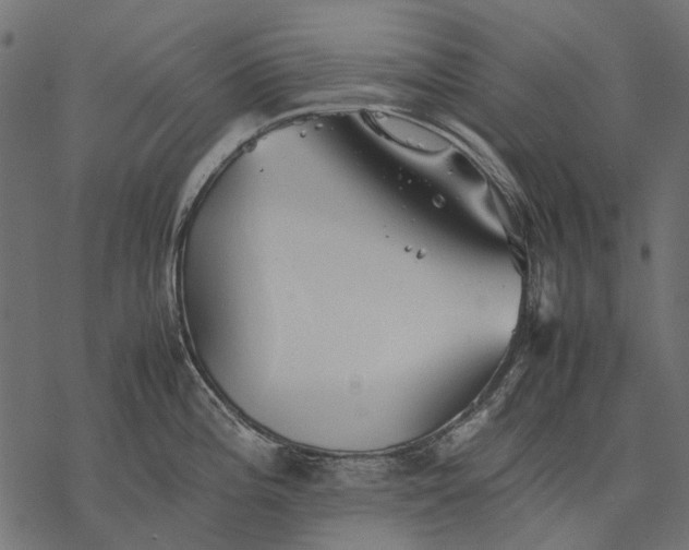 X0000077331196200611031723