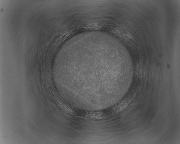 X0000077331201200611031722