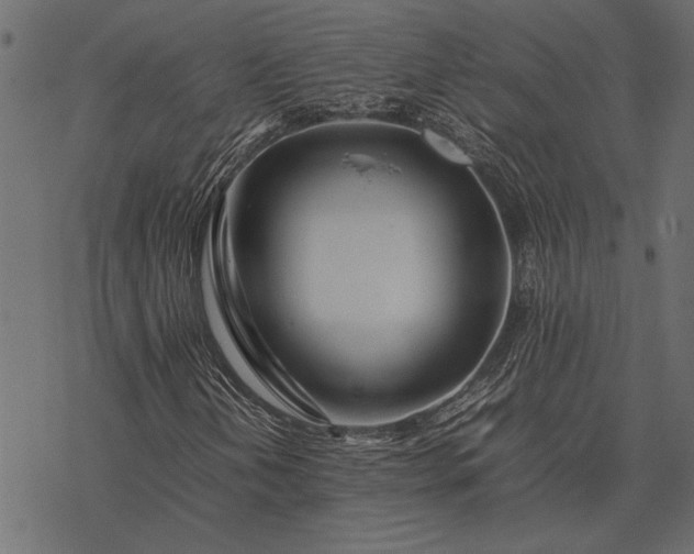 X0000077331202200611031722