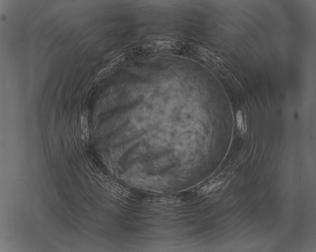 X0000077331203200611031722