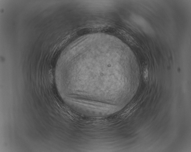 X0000077331204200611031722