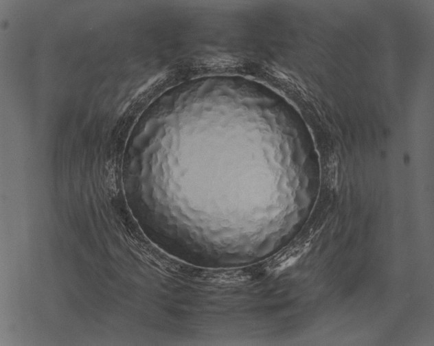 X0000077331205200611031722
