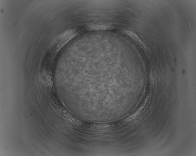 X0000077331209200611031722