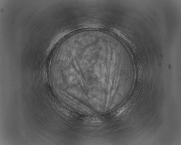 X0000077331215200611031722