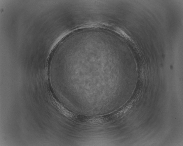 X0000077331216200611031722