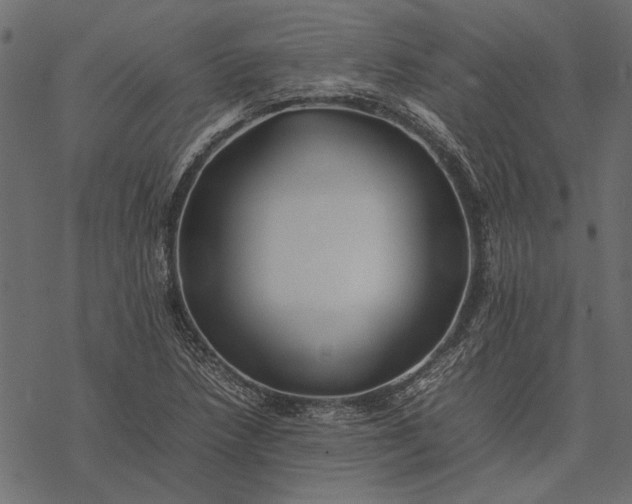 X0000077331218200611031722