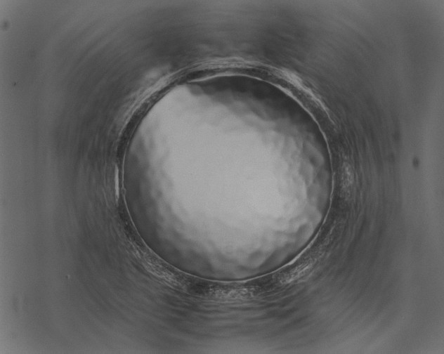 X0000077331221200611031722