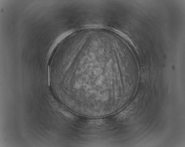 X0000077331223200611031722