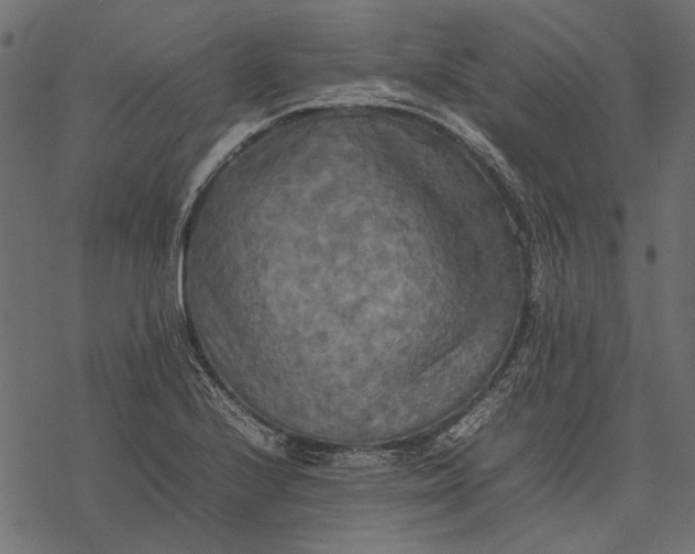 X0000077331224200611031722