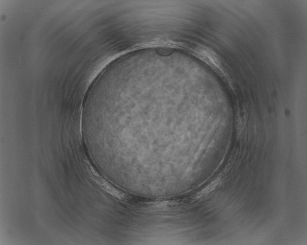 X0000077331228200611031722